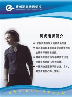 图片展示2